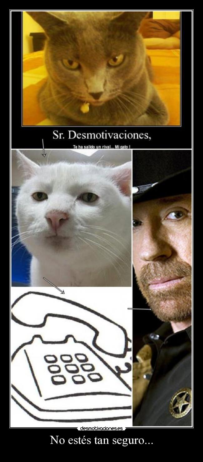 No estés tan seguro... -