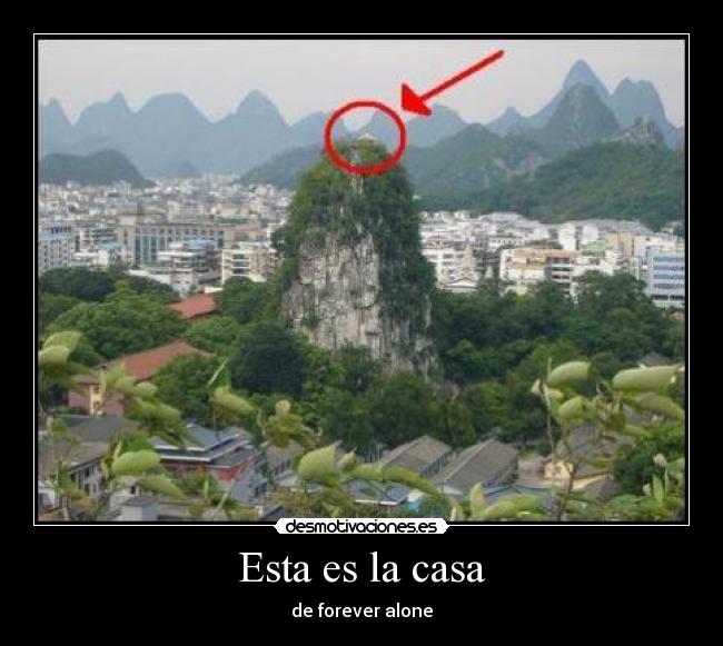 carteles casa forever alone desmotivaciones