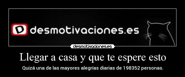 carteles casa desmotivaciones desmotivaciones