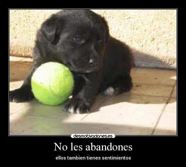 No les abandones - ellos tambien tienes sentimientos