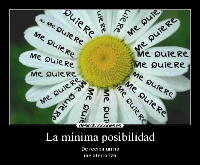 La mínima posibilidad - De recibir un no
me aterroriza
