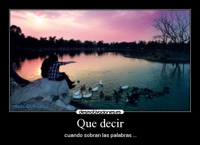Que decir - cuando sobran las palabras ...