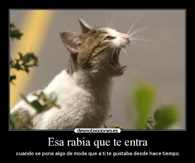 carteles rabia modas desmotivaciones