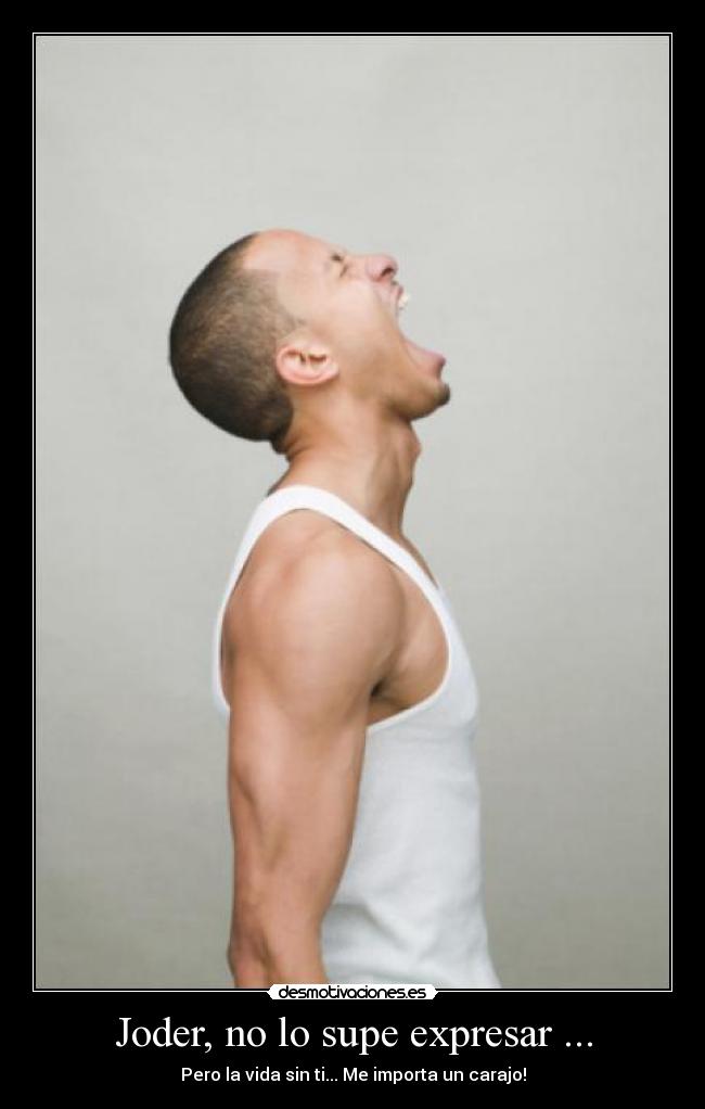Joder, no lo supe expresar ... -