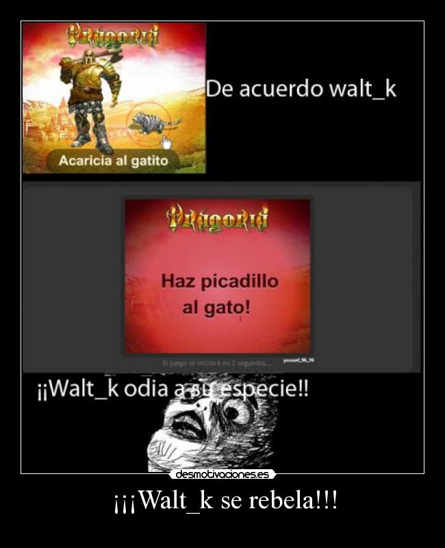 carteles walt_k gato desmotivaciones