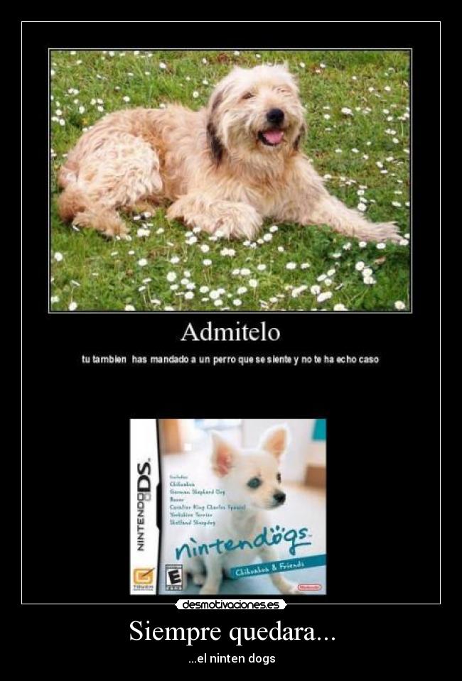 Siempre quedara... - ...el ninten dogs