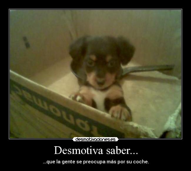 Desmotiva saber... - 
