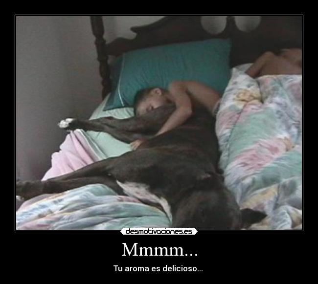 Mmmm... - Tu aroma es delicioso...