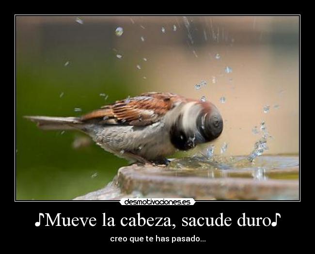 ♪Mueve la cabeza, sacude duro♪ - 