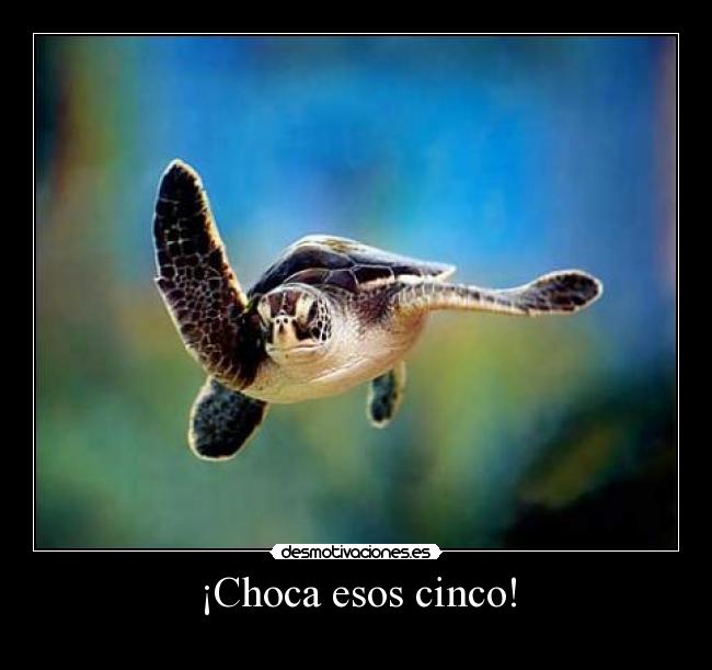 ¡Choca esos cinco! - 