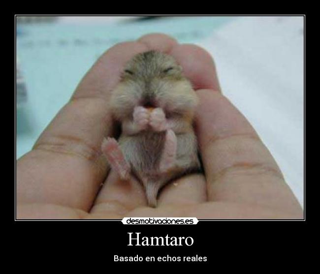 Hamtaro - Basado en echos reales
