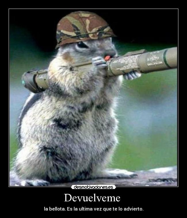 Devuelveme - la bellota. Es la ultima vez que te lo advierto.