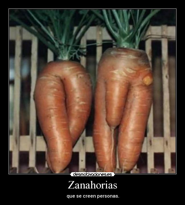 Zanahorias - que se creen personas.