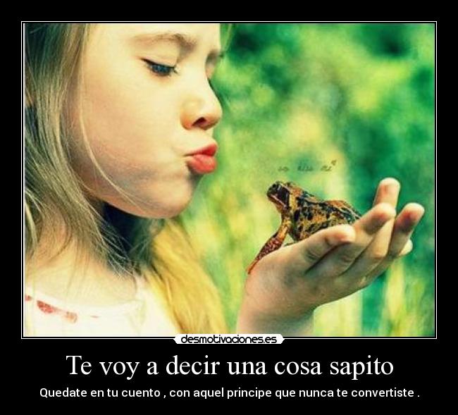 Te voy a decir una cosa sapito - Quedate en tu cuento , con aquel principe que nunca te convertiste .