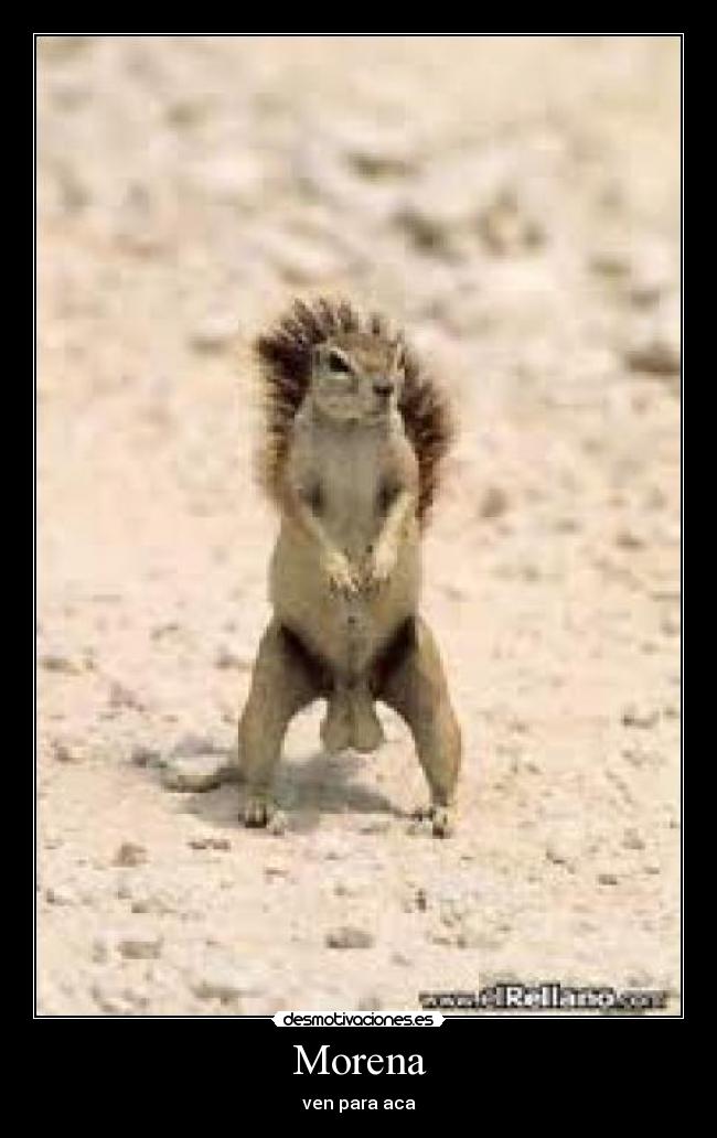 Morena - ven para aca