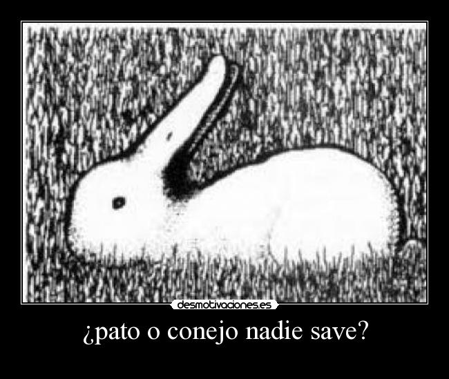 ¿pato o conejo nadie save? - 