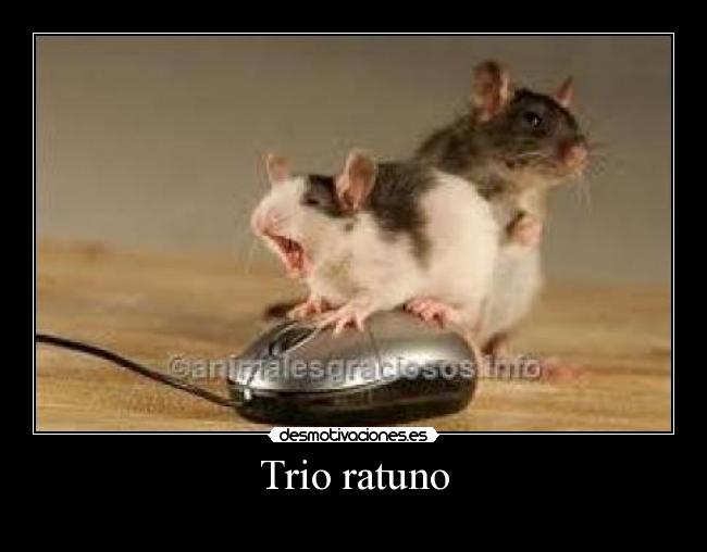 Trio ratuno - 