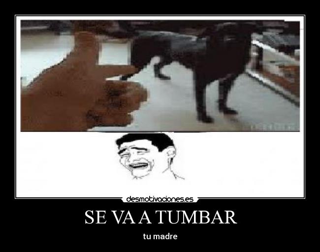 SE VA A TUMBAR - tu madre