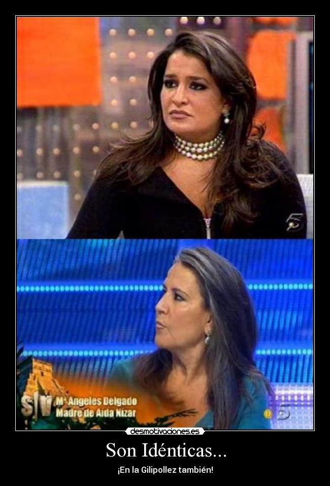 carteles son identicas desmotivaciones