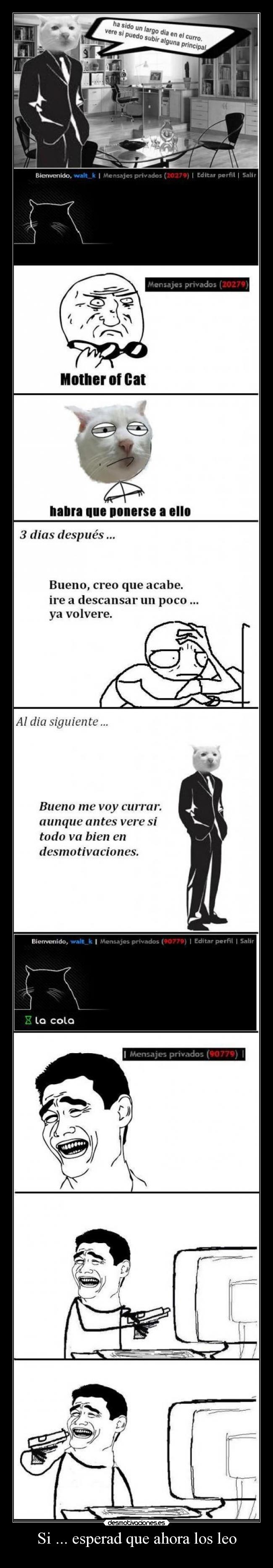 Si ... esperad que ahora los leo - 