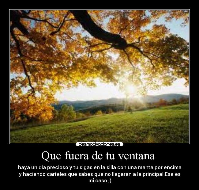 carteles dd desmotivaciones