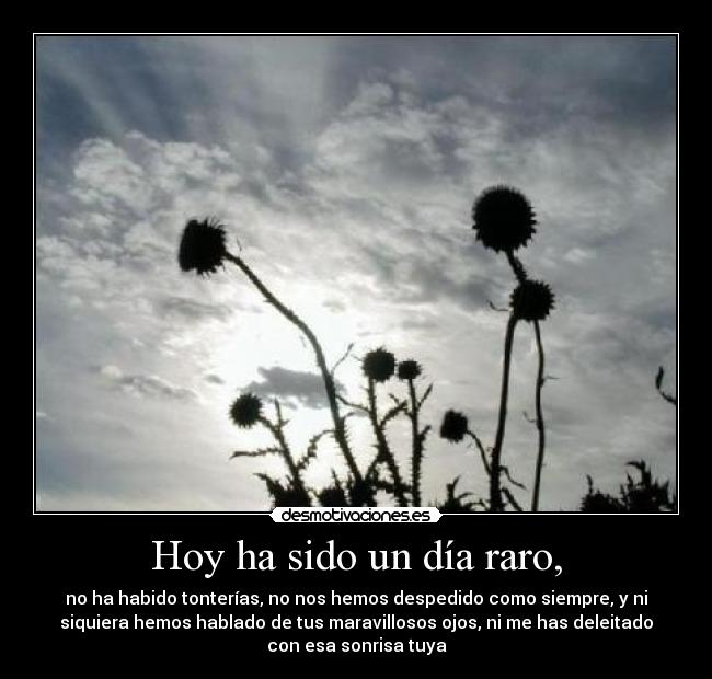 DIA RARO dia raro: