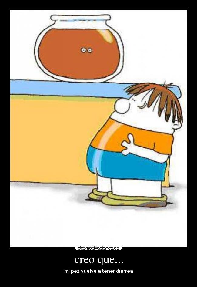 creo que... - mi pez vuelve a tener diarrea