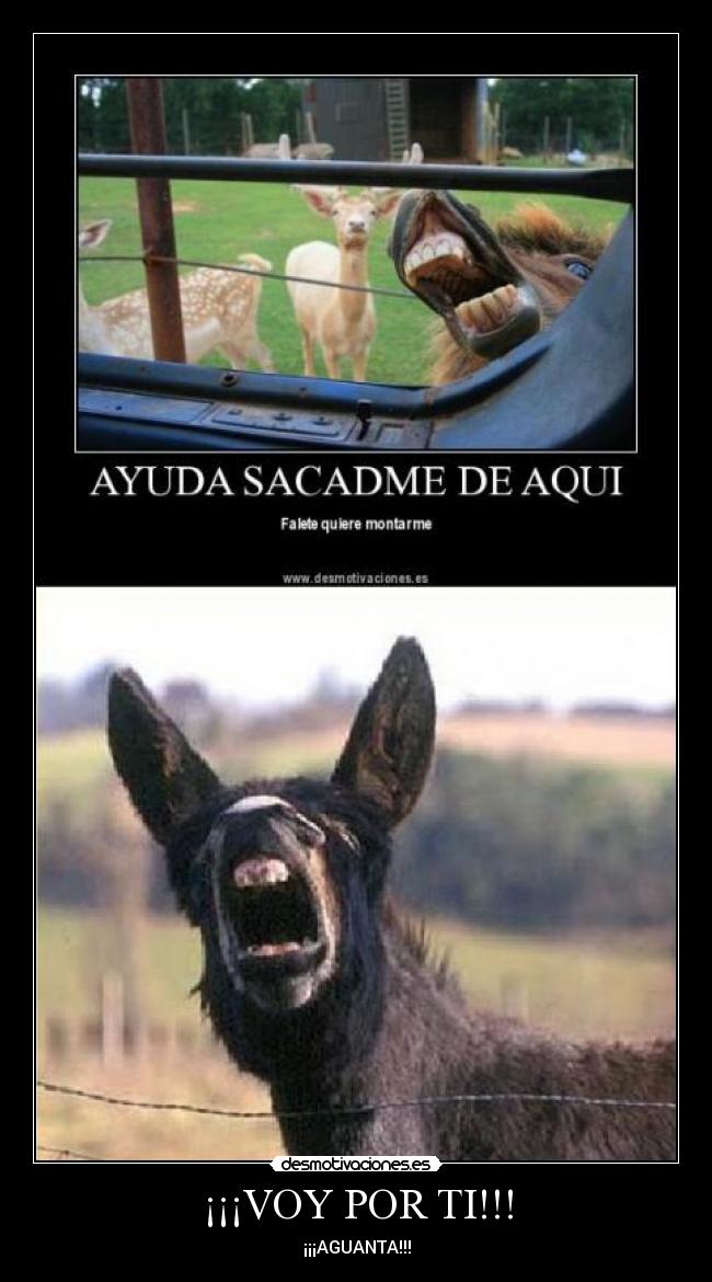 ¡¡¡VOY POR TI!!! -