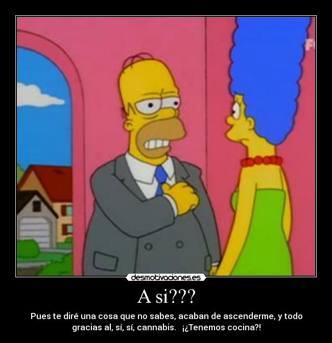 A si??? - Pues te diré una cosa que no sabes, acaban de ascenderme, y todo
gracias al, sí, sí, cannabis. ¡¿Tenemos cocina?!