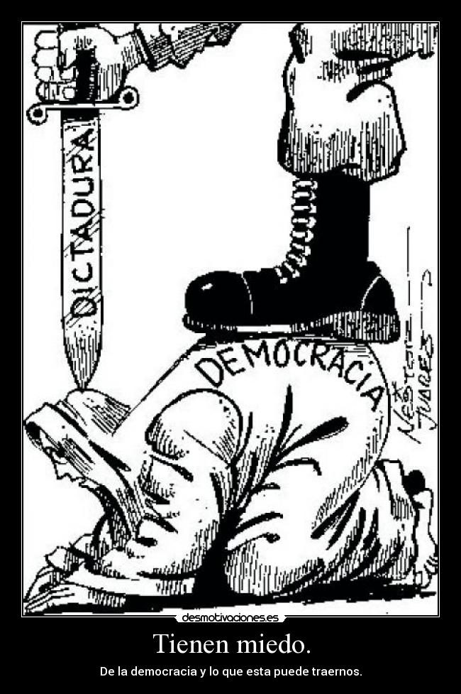 Tienen miedo. -