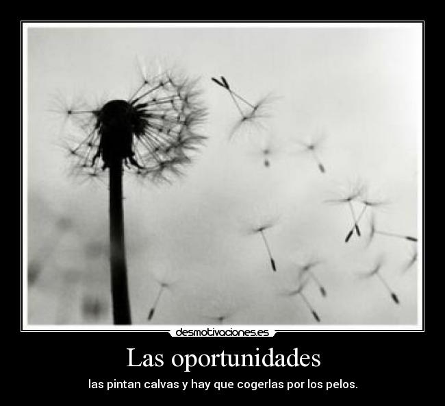 Las oportunidades - 