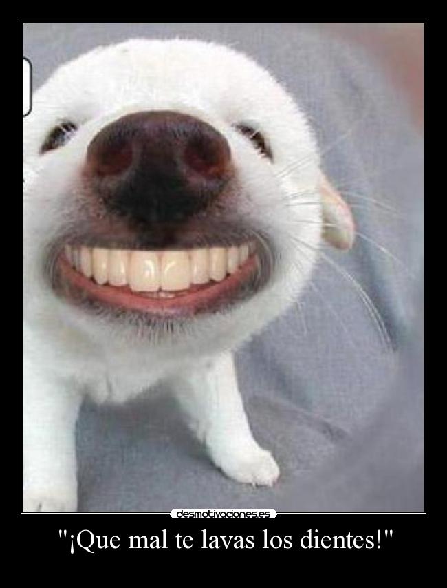 ¡Que mal te lavas los dientes! -