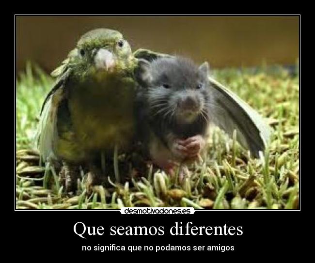 Que seamos diferentes - 