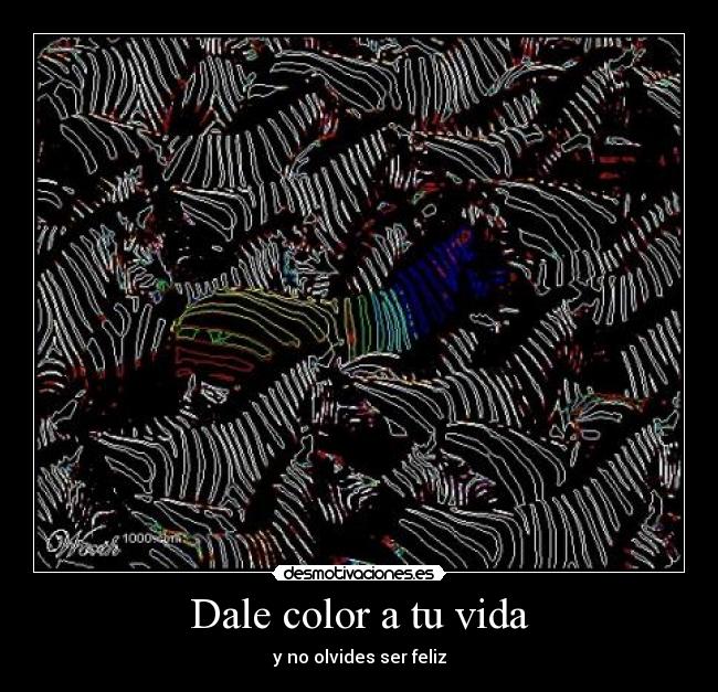 Dale color a tu vida - y no olvides ser feliz