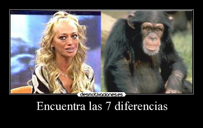 Encuentra las 7 diferencias - 