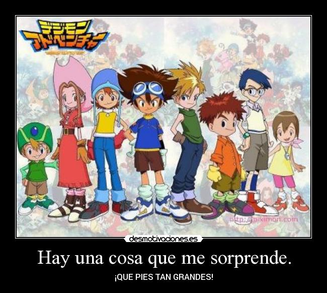 Hay una cosa que me sorprende. -