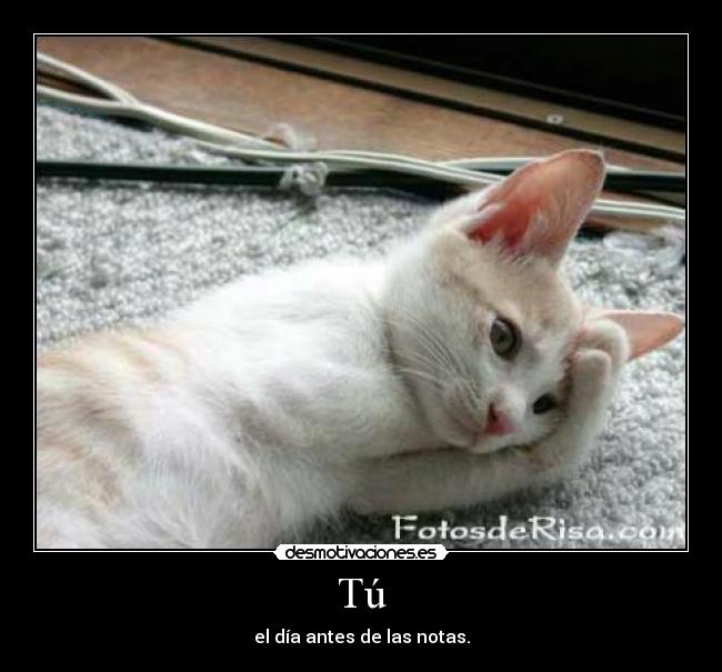 Tú - el día antes de las notas.