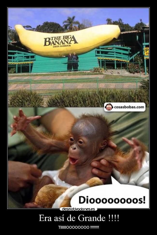 carteles dioooooos era asi grande tio desmotivaciones