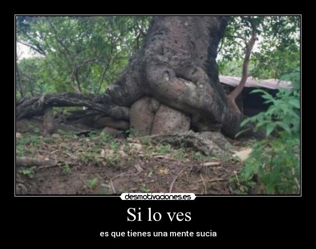 Si lo ves -