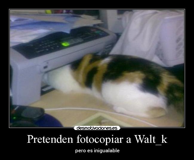 Pretenden fotocopiar a Walt_k - 