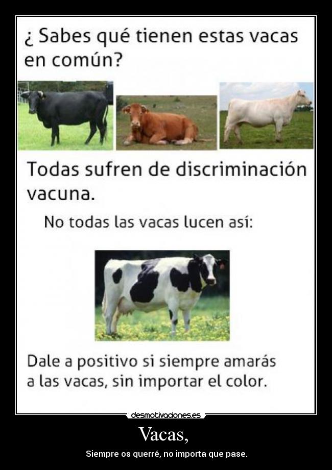 Vacas, - Siempre os querré, no importa que pase.