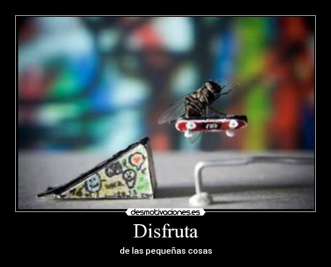 Disfruta - 