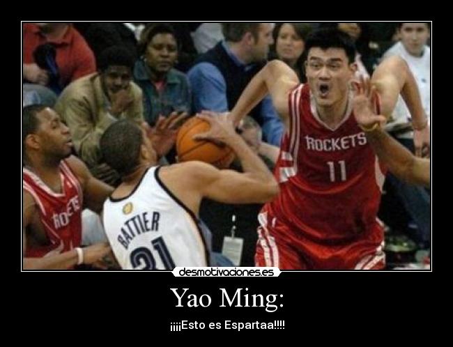 Yao Ming: -