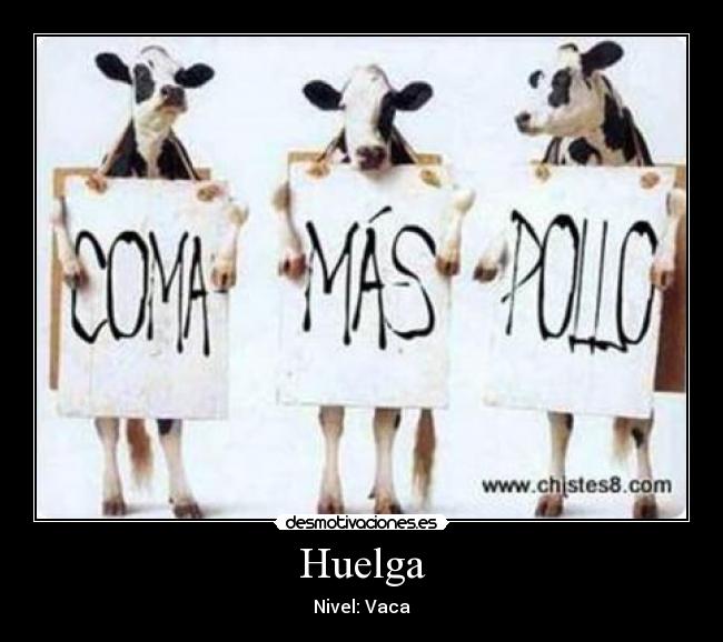 carteles huelga nivel vaca desmotivaciones