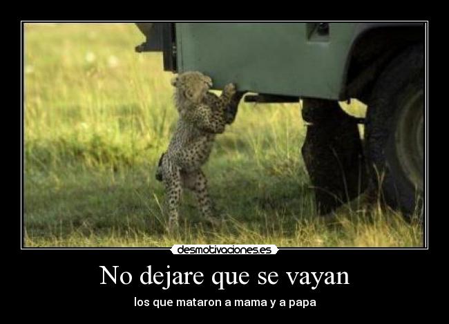 No dejare que se vayan - los que mataron a mama y a papa