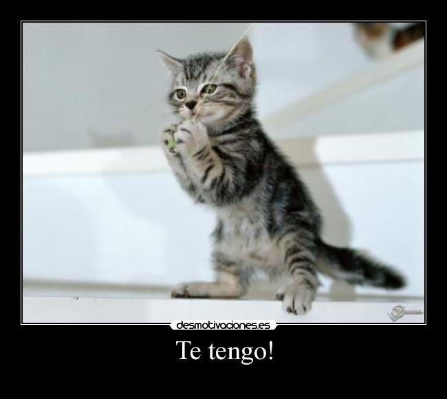 Te tengo! - 