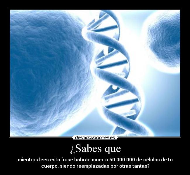 carteles celulas-cuerpo-humano-sabias-que desmotivaciones