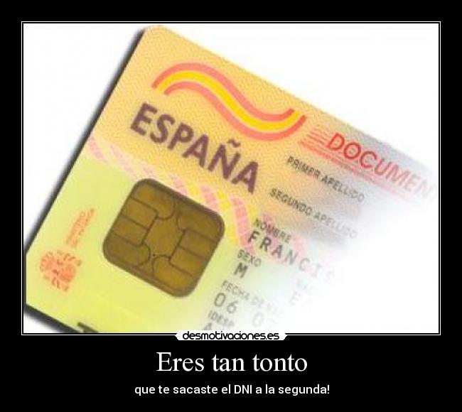 Eres tan tonto - que te sacaste el DNI a la segunda!