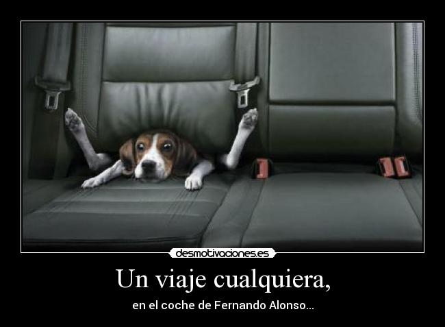 carteles dfghd desmotivaciones