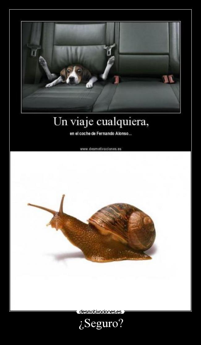 ¿Seguro? -